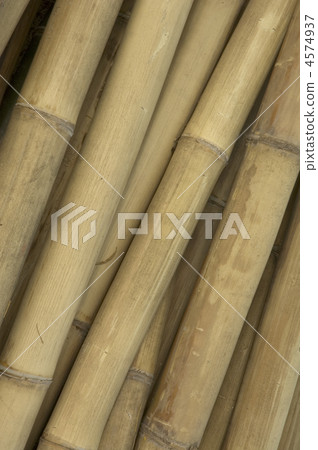bamboo background bamboo background 4574937