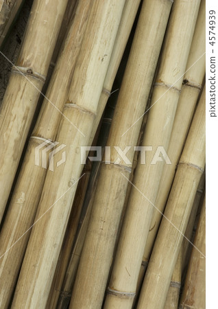 bamboo background 4574939