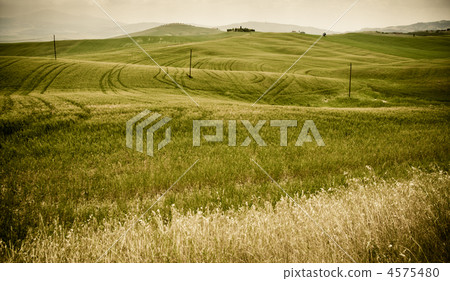 Typical Tuscan landscape 4575480