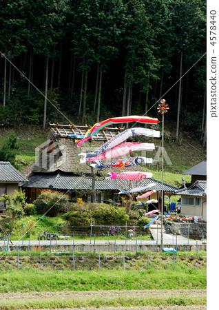 Carp streaming festival festival 4578440