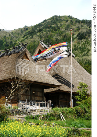 鯉魚流節日節日 4578448