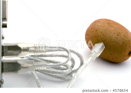 The kiwifruit connected through usb cable The kiwifruit connected through usb cable 4578654