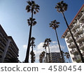 The streets of the marina 4580454