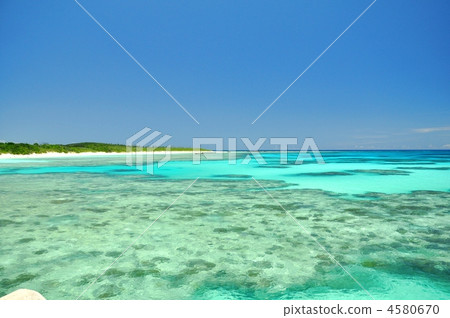 Hateruma Nishihama的Hateruma Blue Hateruma Nishihama的Hateruma Blue 4580670