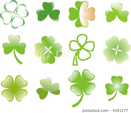 clover, leaf, stem 4581277