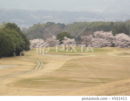 Let's go to golf 4581411