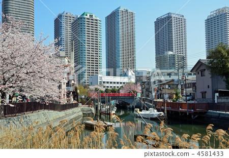 Walking around Tsukudajima · Okawabata River City 21 and Tsukuda Koibashi 4581433