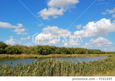 Summer landscape with clouds, trees and pond 4581895