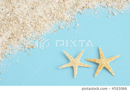 夏天的形象 4583066