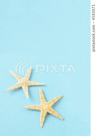 Summer image 4583071