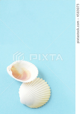 Summer image Summer image 4583073