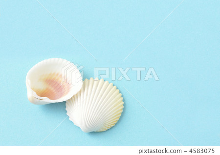 Summer image 4583075