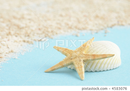 夏天的形象 夏天的形象 4583076