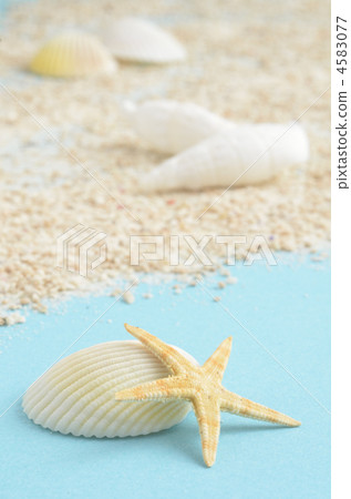 夏天的形象 夏天的形象 4583077