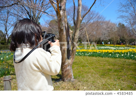 攝影女郎 短髮 推 4583485