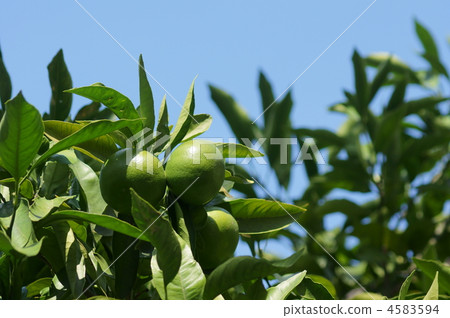 祝你有個美味的普通話··· 4583594