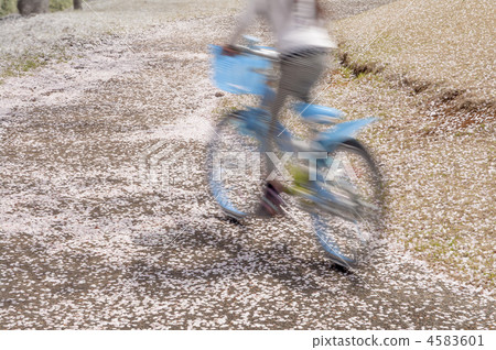 花瓣 天 日 4583601