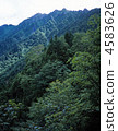 Nishi Hodakake 4583626