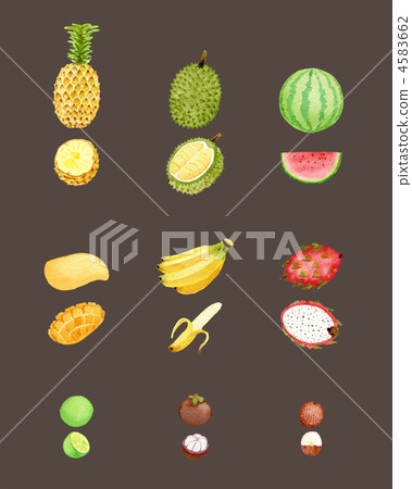 Thai fruits 4583662