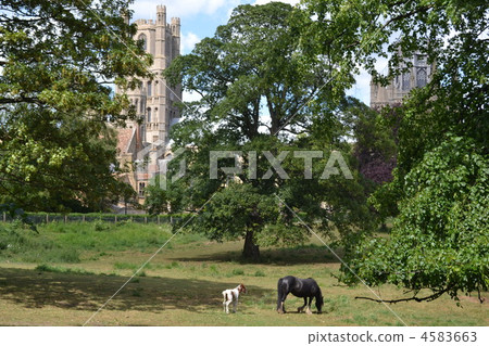 British landscape British landscape 4583663