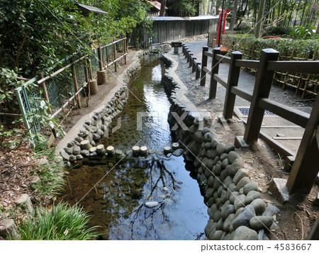 Pond of the hawk's road True Picture 1 spring spring group 1 4583667