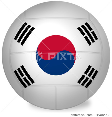 Volleyball - South Korea 4588542