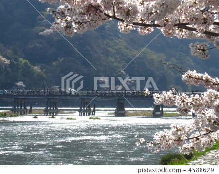 Togetsukyo Bridge Arashiyama 4588629