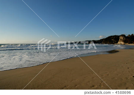 許多Tomahama早上989 4588696