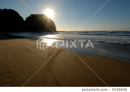 Many Tomahama morning 991 Many Tomahama morning 991 4588698