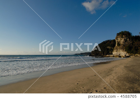 Many Tomahama morning 993 Many Tomahama morning 993 4588705