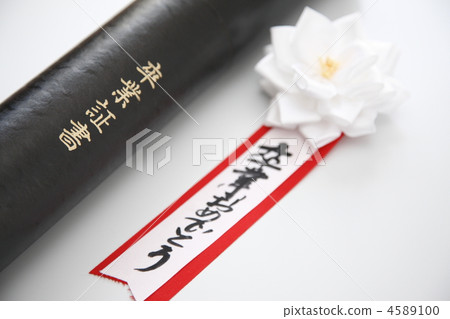 graduate 4589100