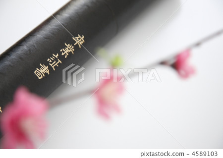 graduate 4589103