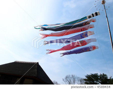 A cabin roof and a carp streamer A cabin roof and a carp streamer 4589434