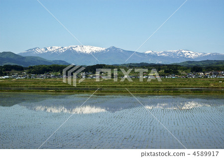 Paddy field and Zao factions 4589917