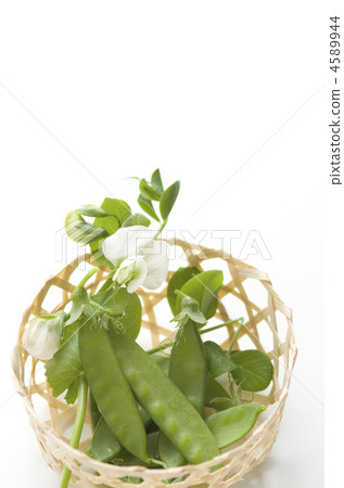 Sayaron Sayaron 4589944