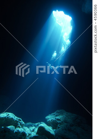 light, educate, education 4590366