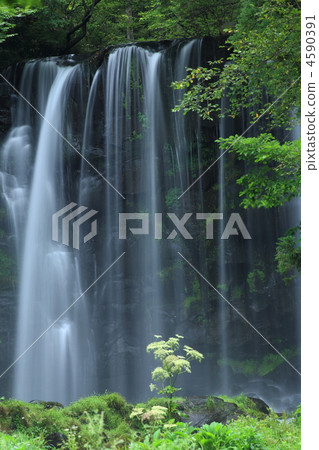 Karasawa Falls 4590391