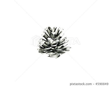 Porcine side 4590849