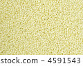 white sesame, sesame, sesame seed 4591543