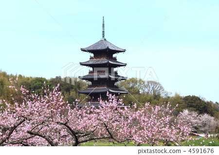 國分寺在春天 國分寺在春天 4591676