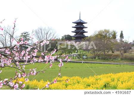 Kokubunji in spring 4591687