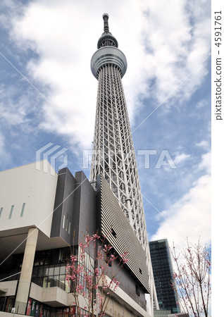 東京天空樹 4591761