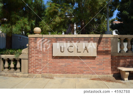 加州大學洛杉磯分校 加州大學洛杉磯分校 4592788