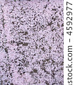 Petal path 4592977