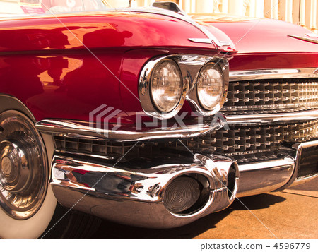 american beauty 4596779