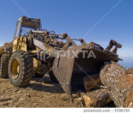 Buldoser picking pine wooden logs 4596785