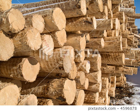 peeled logs in yard of paper factory 4596878