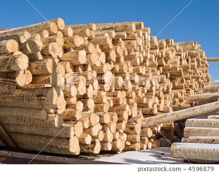 peeled logs in yard of paper factory 4596879
