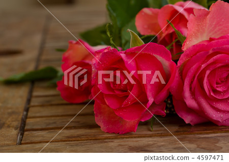 bouquet of roses bouquet of roses 4597471