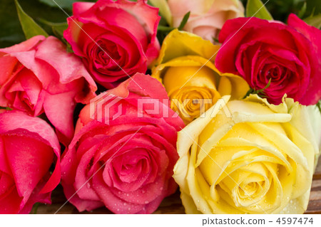 bouquet of roses bouquet of roses 4597474